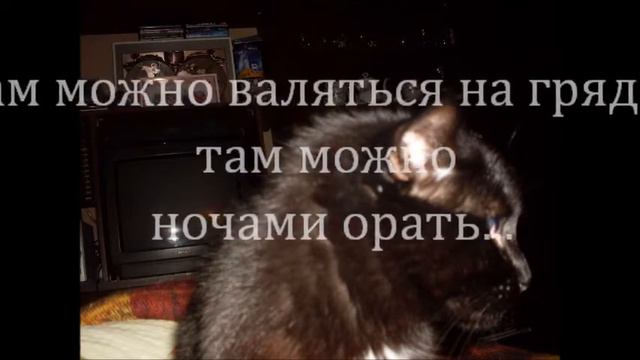 Кузе посвящается.wmv смотреть онлайн