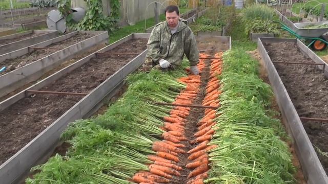 Каким культурам севооборот просто необходим