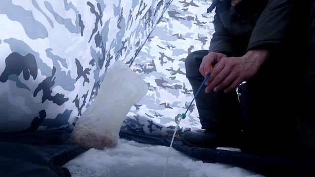 Ловля на мормышку, на Опарыша. Подводные съемки. Рыбалка в палатке. смотреть онлайн