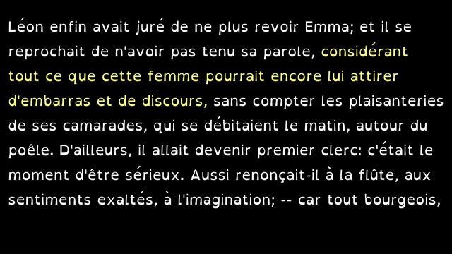 Madame Bovary, Gustave Flaubert (Part 3/3), Audiolivre Complet En Francais Video+Audio+Subtitles