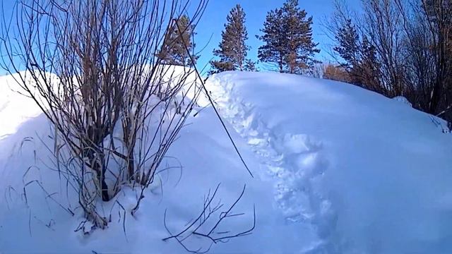Щука жерлицы Сосьва глухозимье рыбалка на живца смотреть онлайн