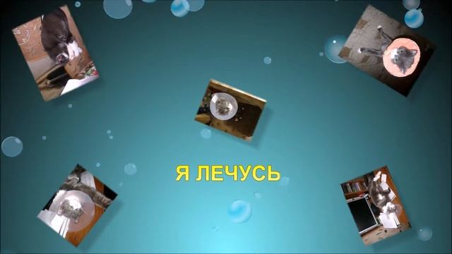 Слайд-шоу кошка Мася с музыкой смотреть онлайн