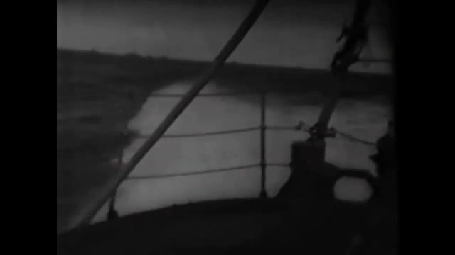 Die Nacht der großen Liebe - Robert Stolz смотреть онлайн