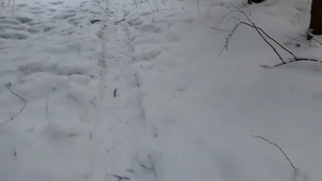 СЕЛО РОЖДЕСТВЕНО.ЧАСТЬ ВТОРАЯ. смотреть онлайн