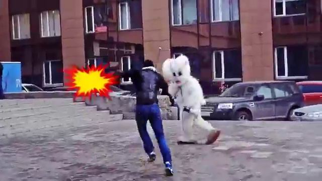 Нет никаких зайцев! Только WEBBARS.RU смотреть онлайн