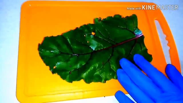 Голубцы из свекольных листьев смотреть онлайн