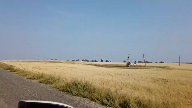 Прежде Чем Ехать По Дороге Ульяновск-Уфа Посмотрите это видео смотреть онлайн