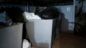 ЛАЗАЯ ПО МУСОРКАМ РОССИИ ПОИСК МЕТАЛЛОЛОМА БЕЗ МЕТАЛЛОИСКАТЕЛЯ НА СВАЛКЕ КАК ЗАРАБОТАТЬ ДЕНЬГИ? #31