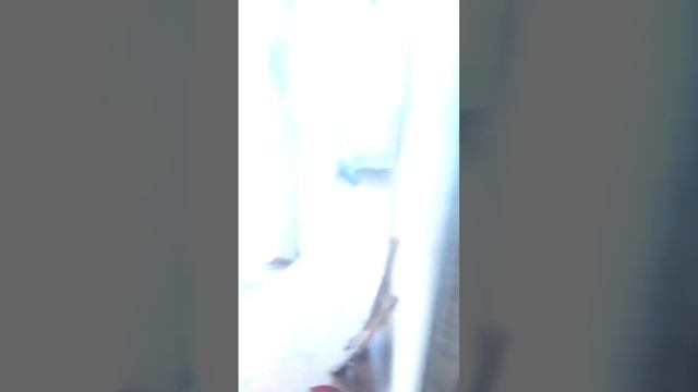 Уборка квартиры после плюшкина - ЧистоСервисПлюс смотреть онлайн