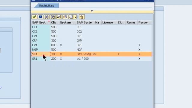 AuditBOT Automated Password Reset For SAP смотреть онлайн