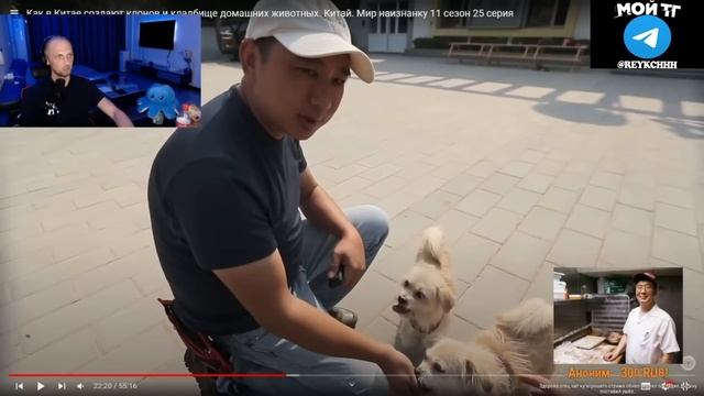 ЗУБАРЕВ СМОТРИТ  МИР НАИЗНАНКУ: КИТАЙ: КЛОНИРОВАНИЕ ЖИВОТНЫХ  / НАРЕЗКА СО СТРИМА #zubarefff