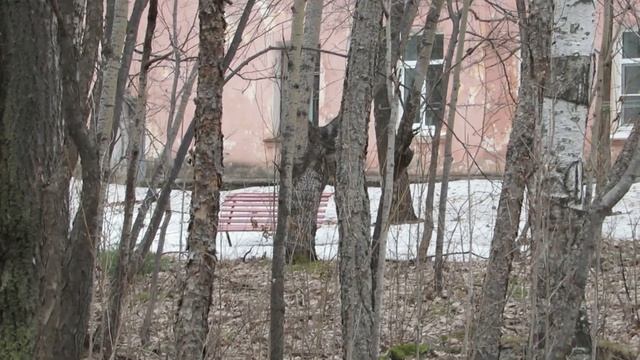 Что такое геокешинг. смотреть онлайн
