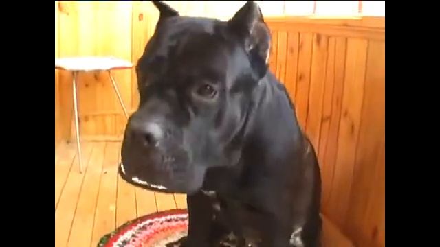 3 прикола смотреть онлайн