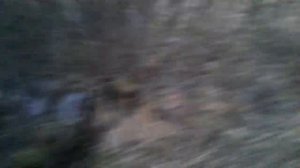 Каракат ЗИД Бархан в пруду !!!!!! Покатухи 2018