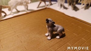 Wolfs . Collection of figures 🐺🐾🐺🐾 . Коллекция фигурок волков