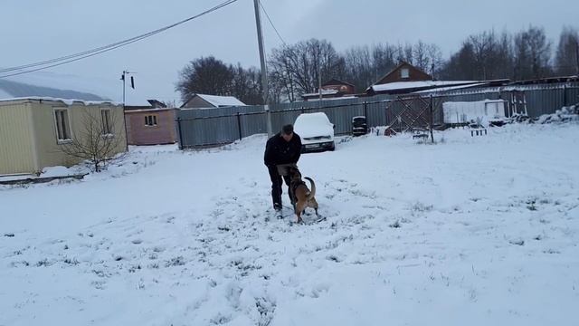 Еранга с ДК смотреть онлайн