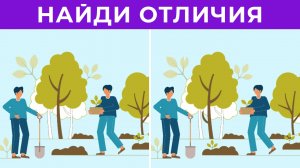 Найди отличия LIVE