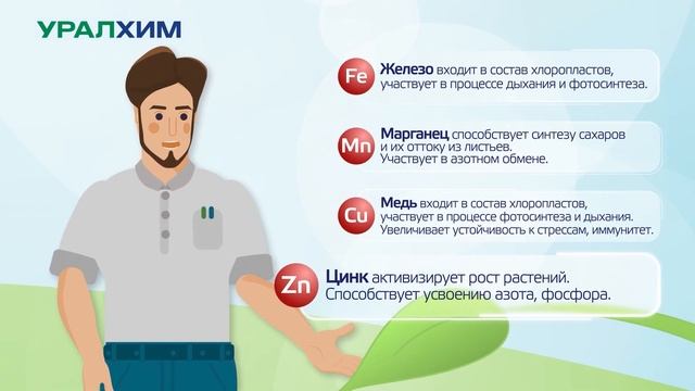 Роль микроэлементов в питании растений смотреть онлайн
