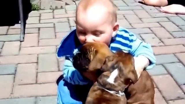 2014 декабрь ПРИКОЛЫ!!! Очень смешные дети ДЕТИ И ЖИВОТНЫЕ THE BEST!!! смотреть онлайн