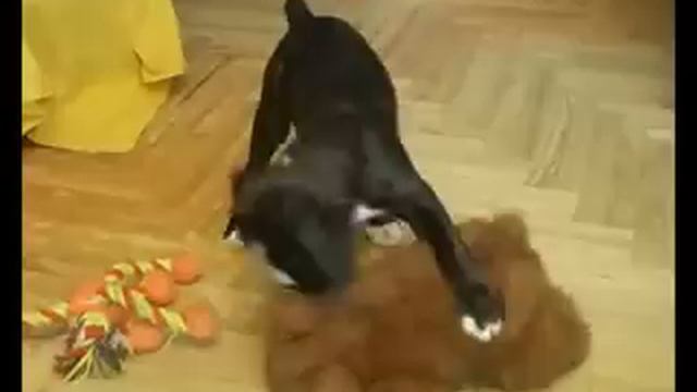 boxer-part2.wmv смотреть онлайн