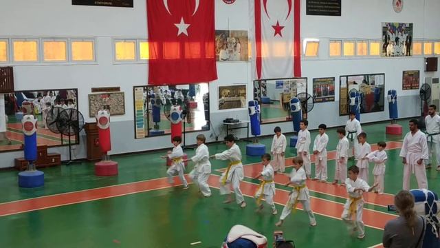 2019 11 24 karate p.3 yellow belts смотреть онлайн