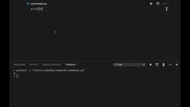 Unit 1 Lesson 1 - Commands - Intro to Coding in Python смотреть онлайн