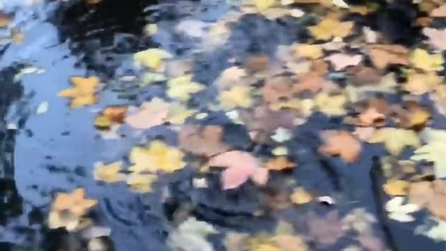 Уроки Мастера | Озеро | Вадим Шишкин смотреть онлайн