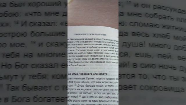 Притча о безумном богаче : Любостяжание. смотреть онлайн