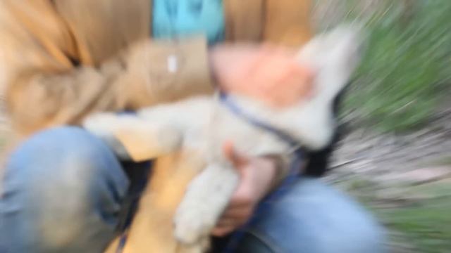Как "Континент" Тулу чистил! смотреть онлайн