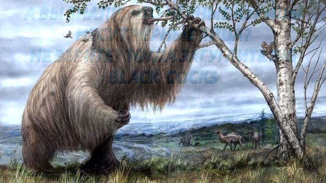 Почему у авокадо большая косточка?