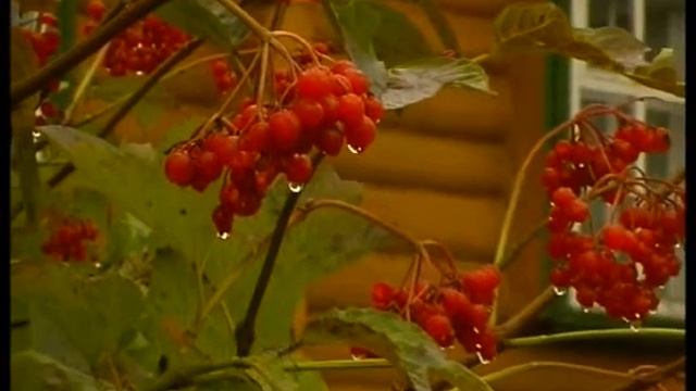 Благодатная Оптина смотреть онлайн