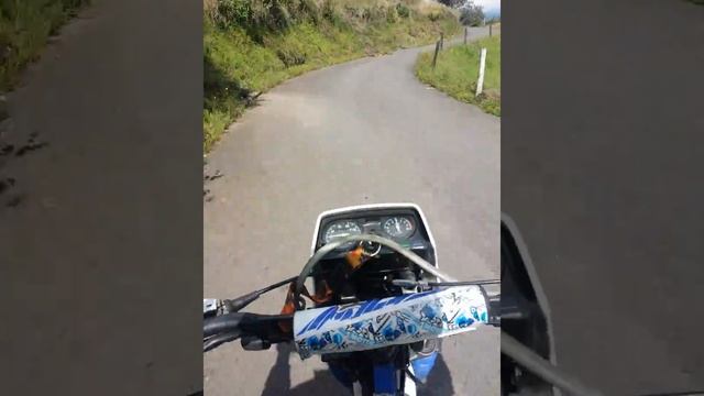 suzuki ts 125 ??prueba de manejo una moto 2t?? смотреть онлайн