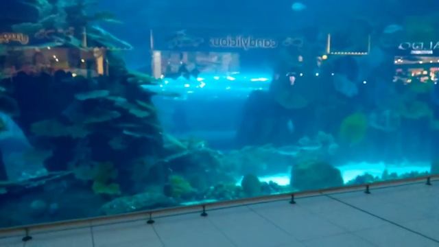 Дубай Молл Холл Огромный аквариум Aquarium Dubai Mall Эндрю Тайм смотреть онлайн