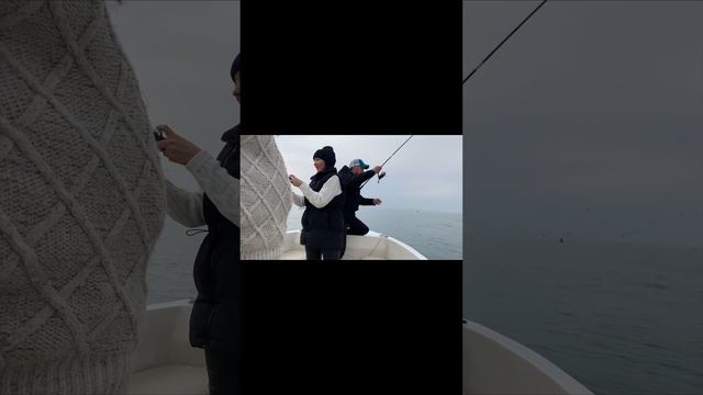 Хамса.Ставрида. Полные снасти. смотреть онлайн