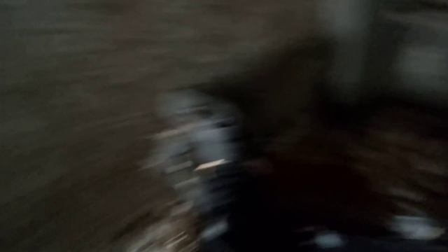 Как посадить ИНДОУТКУ в гнездо если она сидит на земле? СИРОТКА! смотреть онлайн