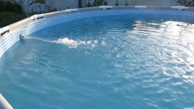 Очистка бассейна Intex.  Как я очистил мутную воду.  Химия и пылесос для бассейна