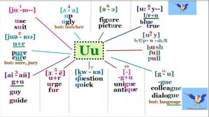 Правила чтения в английском языке, буква U - как произносить?