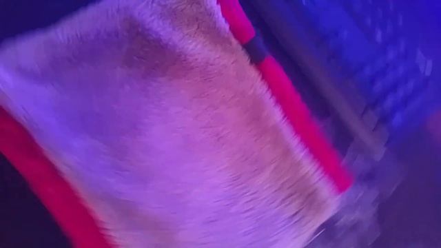 Кашемировый шарф (СНУД) с флисовой плюшевой вставкой + бонус раздаю деньги зрителям в конце ролика. смотреть онлайн