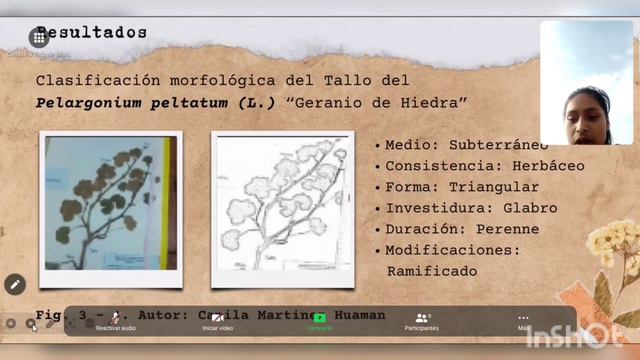 ANALISIS MORFOLÓGICO DE Pelargonium peltatum (L.) "Geranio de Hiedra"-Facultad Farmacia y Bioquímic смотреть онлайн