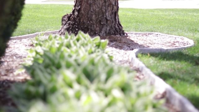 Canon 77D test with Canon 50mm STM lens смотреть онлайн