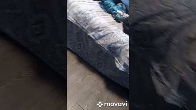 (ВЫЗОВ ДУХОВ)Не Лови Призрака с Помощью Приложения ! МЫ СНЯЛИ ЭТО НА КАМЕРУ ! Потусторонние ! ghost смотреть онлайн