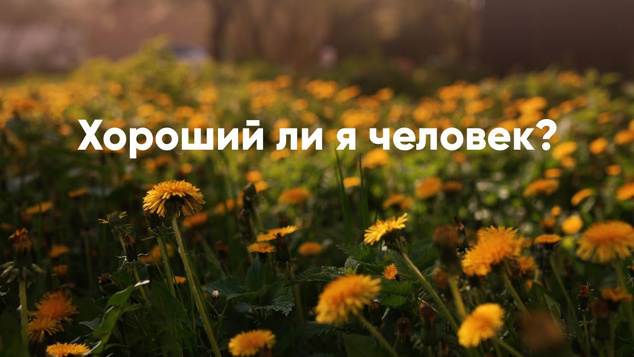 Хороший ли я человек? смотреть онлайн