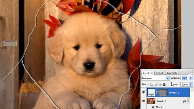 Tutorial Photoshop CS3 - foto strappata смотреть онлайн