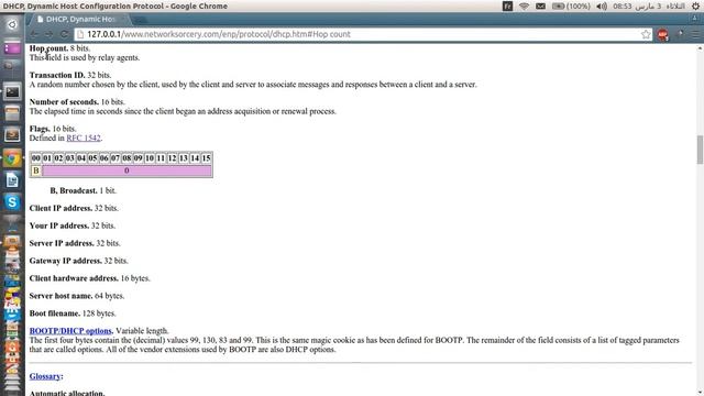 Build Your Own DHCP Client Tool Part - 02 смотреть онлайн
