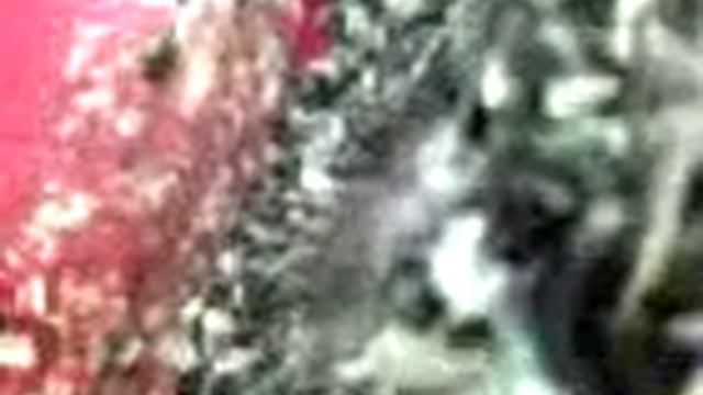 a Bird Learns how to fly".. Before смотреть онлайн