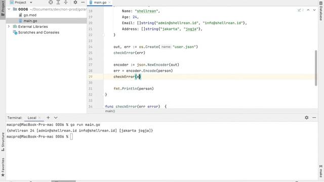 GO-Lang: Encode serta decode file dari dan ke json file смотреть онлайн