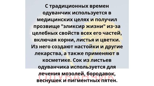 Цветы: Одуванчик. Карточки Домана. общееразвитие развитиеребёнка