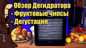 Домашние Фруктовые чипсы в Дегидраторе RAWMID Modern RMD 10 +Обзор +Дегустация