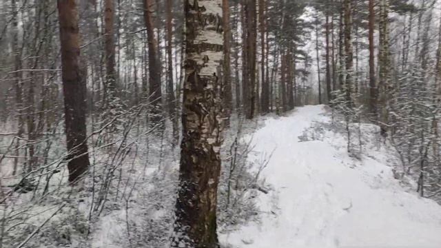 И зима, рассказывая сказку, засыпает медленно сама...