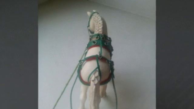 Европейская упряжь)))новая амунька🐴 смотреть онлайн